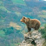 Fin de curso Aventura Asturias